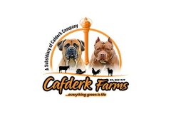 3pixelshq-Cafderk-Farm