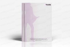Bolis-letterhead