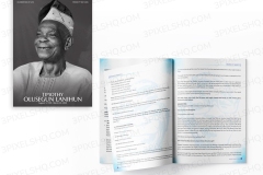 MrOlanihun-Programme