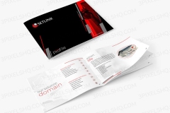 Setlink-Profile